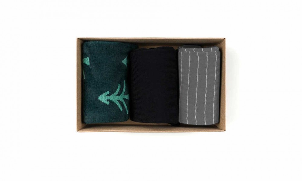 Vegane Socken | BLEED Socks Box Polar Tree