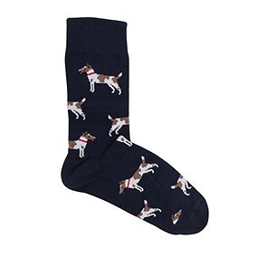 Socks Fox Terriers